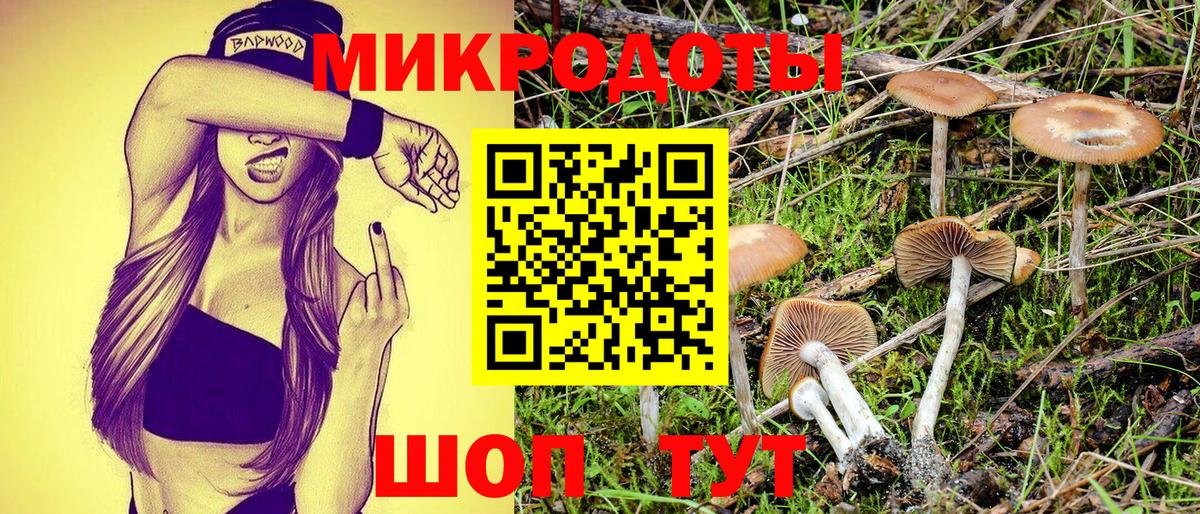 Галлюциногенные грибы мухоморы Славгород
