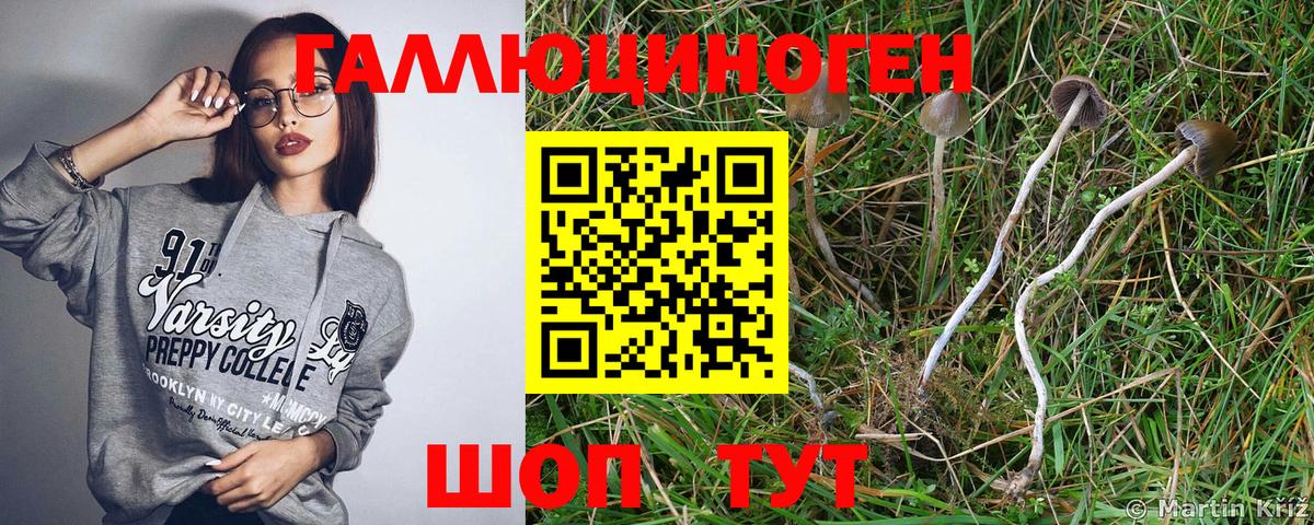 Псилоцибиновые грибы мицелий  Вход с VPN  Славгород 